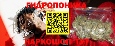 гашик Кулебаки