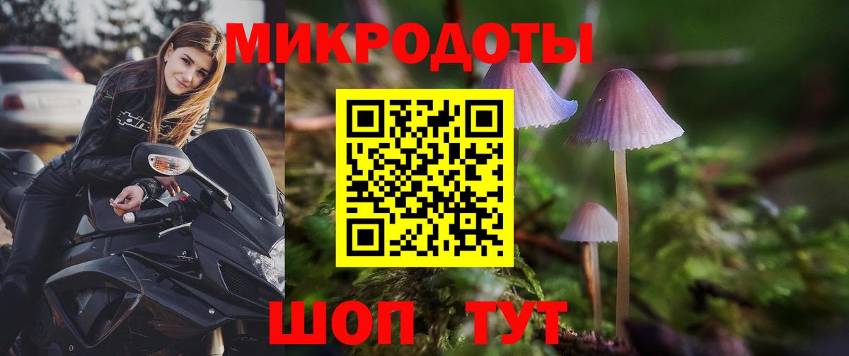 Галлюциногенные грибы MAGIC MUSHROOMS Знаменск